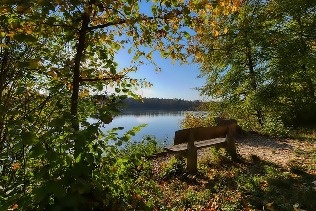 投射能力 投射能力