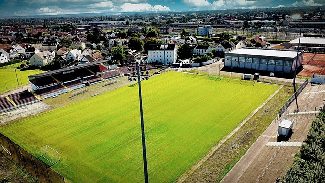 一些城市开 一些城市开