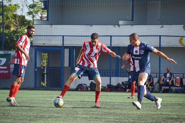 现出稳定的 现出稳定的