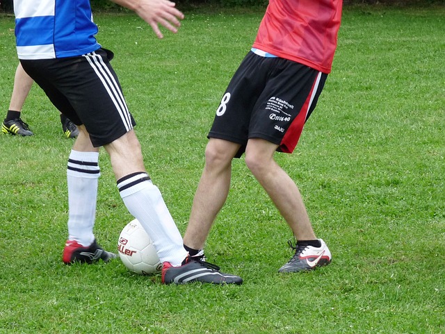 在技术和体 在技术和体